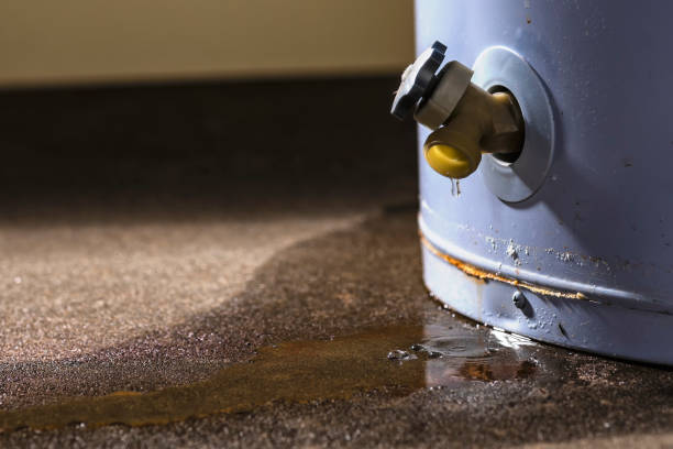 Water damage restoration mold remediation in Robstown, TX