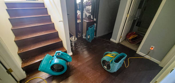 Best Water damage restoration specialists  in Robstown, TX