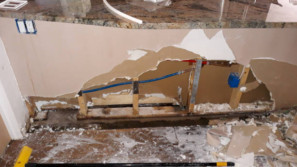 Best Flooded house restoration  in Robstown, TX