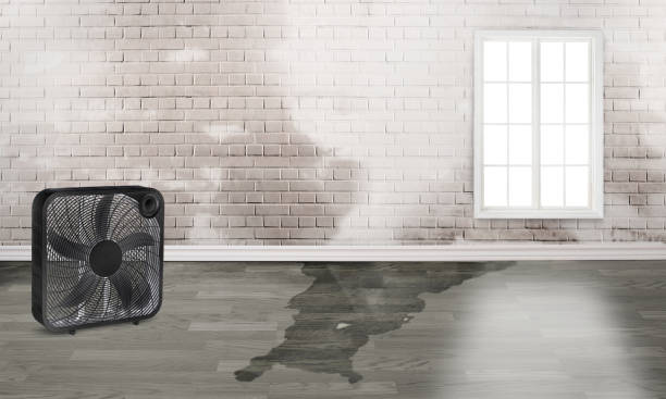Best 24/7 water damage repair  in Robstown, TX