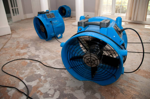 24/7 water damage repair in Robstown, TX
