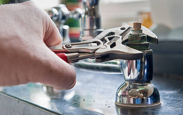 Best Flooded house restoration  in Robstown, TX