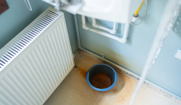Best Basement water damage restoration  in Robstown, TX